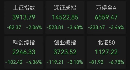 存储龙头跌停，科技股集体重挫