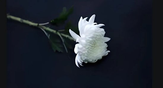 噩耗！ *** 前副主席、深交所前理事长陈东征去世！ 第1张