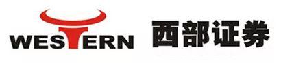 股质业务再坑一家券商 西部证券含泪拍卖ST中南