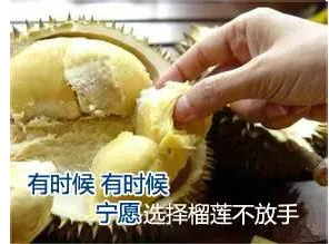 “中欧基金袁维德：一季报一言难尽 2022年最大回撤超过38%