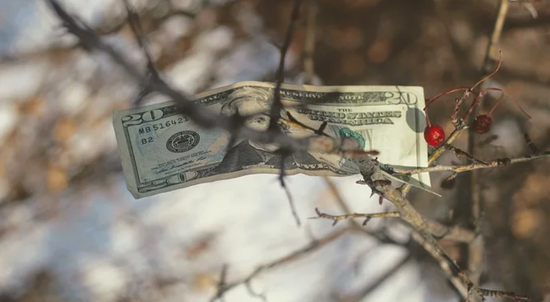 美元下跌 美元霸权是否走向终结 对人民币意味着什么 手机新浪网