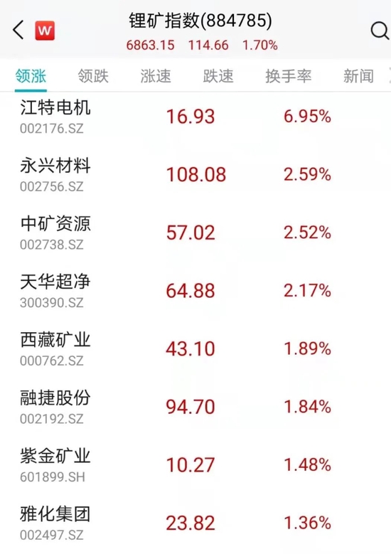 矿业巨头“栽了”！锂矿项目“黄了”！国内市场“红了”……