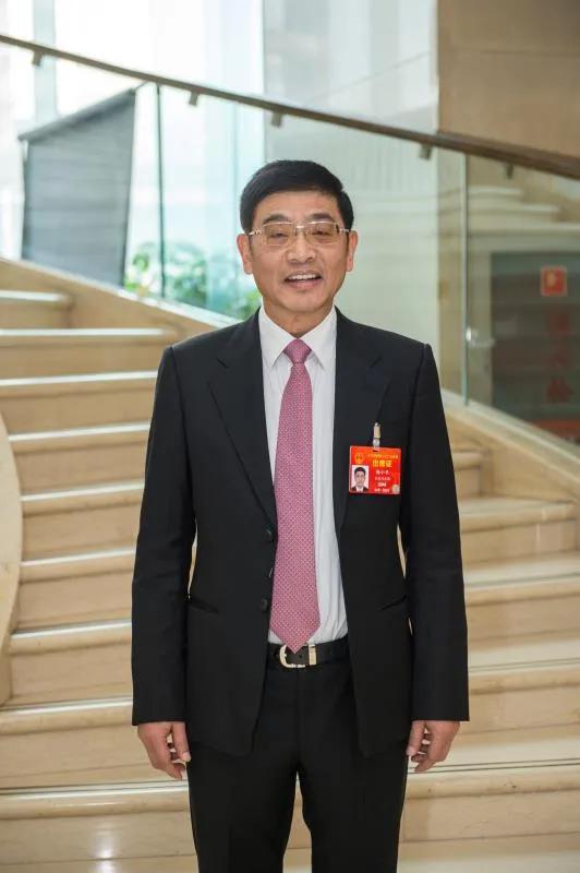 杨小平代表建议(摘要)