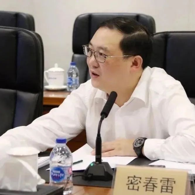 神秘富豪密春雷被曝遭调查，“览海系”商业帝国面临多重危机