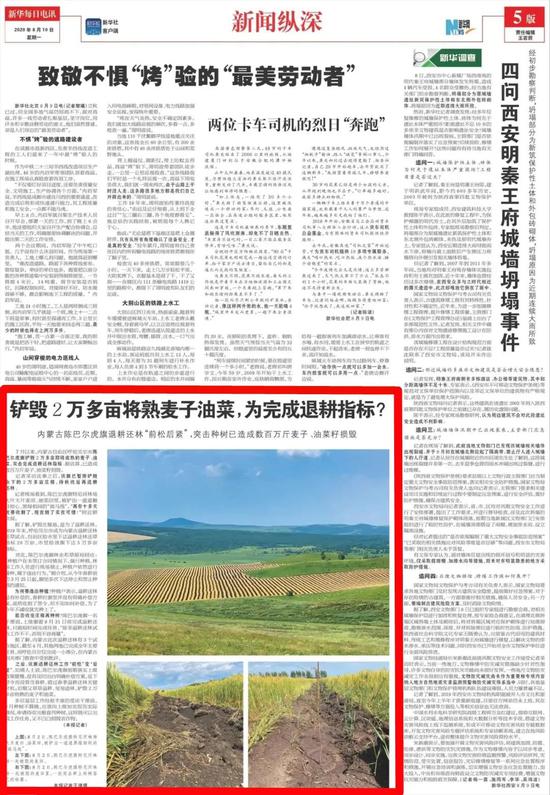 内蒙古陈巴尔虎旗铲毁2万多亩将熟麦子油菜 相关人员接受调查