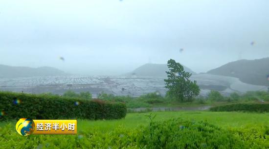 �����������������