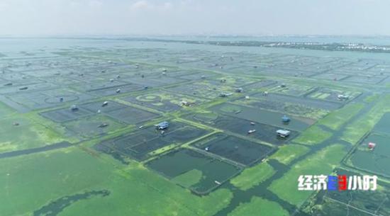 江苏省苏州市阳澄湖镇