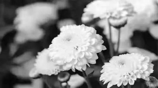 南方基金董事长张海波因病去世 年末刚发文“以初心致未来”