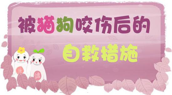 被猫狗咬伤后的自救措施