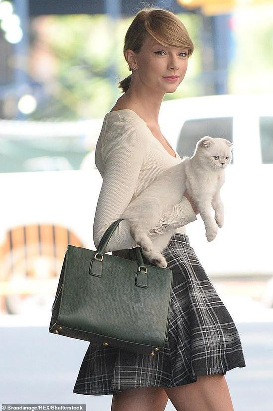 泰勒⋅斯威夫特和她的宠物猫奥莉维亚。（每日邮报）