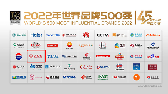 2022年世界品牌500强（中国声势） 图片开始：五粮液集团官网
