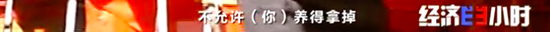 江苏省苏州市阳澄湖大闸蟹经销商