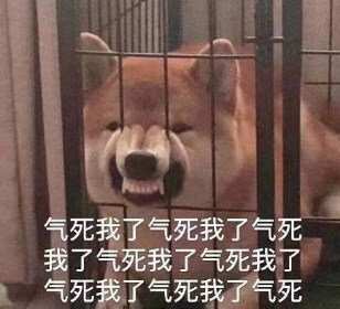 双十一高洁丝的文字游戏绕晕消费者 大半夜被气死！