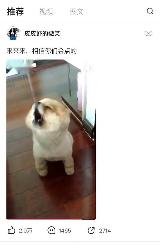 内涵段子和抖音
