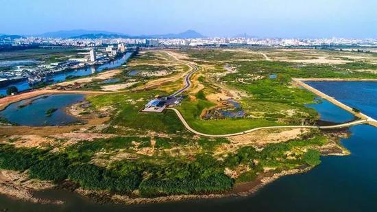 东莞：暂停滨海湾新区各类建设行为 获批未建的也将暂停