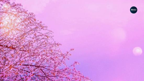 蚂蚁的新衣：金融的里子 科技的名字