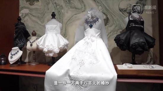 极目新闻:中银通支付卡-杭州现“12800元宠物婚纱”，店主回应热议：买家定制，买的是情感