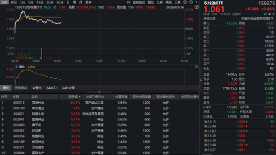 逆市大涨！华宝基金农牧渔ETF（159275）上探2.57%！生猪产能去化持续