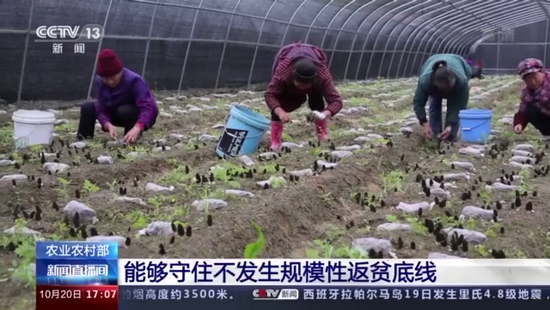 农业农村部 能够守住不发生规模性返贫底线 新浪财经 新浪网