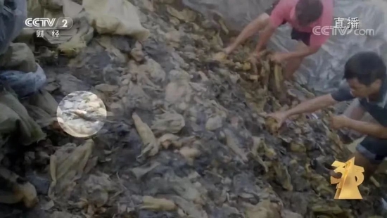 插旗菜业的生产过程被央视曝光