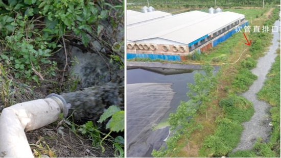 　5月12日，督察组现场督察发现，监利市园梦畜禽养殖专业合作社废水直排沟渠。