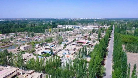 情系深喀一家亲，光峰科技中秋助农走进新疆喀什