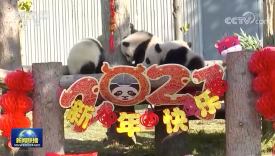 央视|今日资讯|北京冬奥会即将迎来倒计时一周年