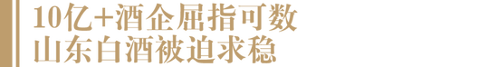 缺龙头、缺后劲，“马太效应”下山东地产酒该何去何从？