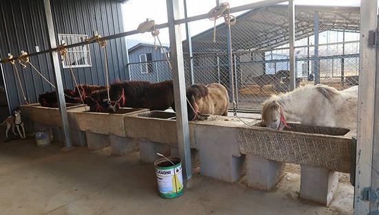 起底华夏学宫 家长非富即贵学费10万一年但没学历 新浪财经 新浪网