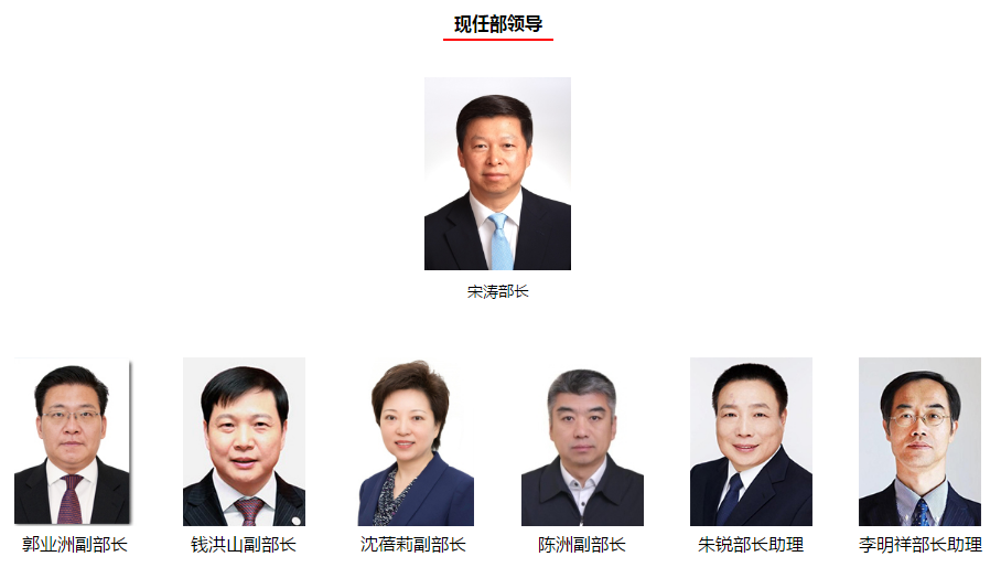 陈洲已任中联部副部长附简历