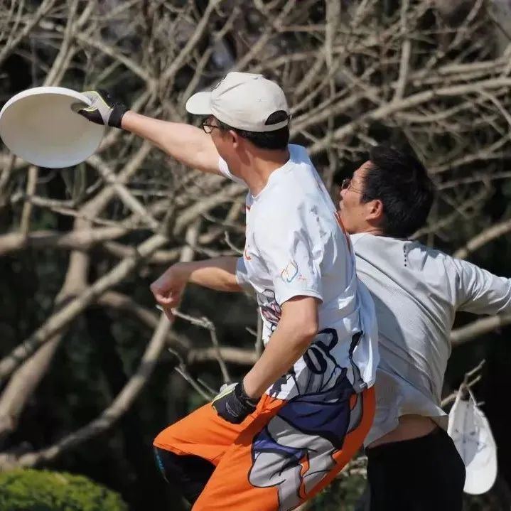 找块场地就能坐地数钱？突然火起来的极限飞盘是门好生意吗？