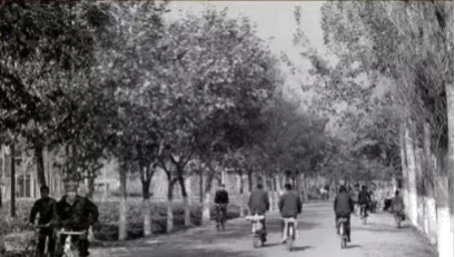 图&nbsp;10-1四十年前的中华大街