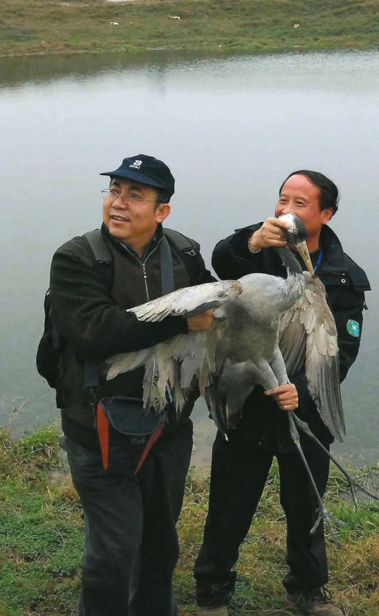 　　2007年12月26日，鄱阳湖国家一级自然保护区管理局的工作人员将一只痊愈的灰鹤放归大自然