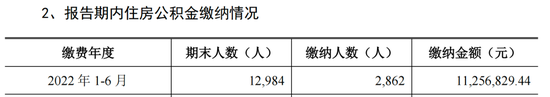 失去“乔丹”后，中乔体育利润在一步步滑落