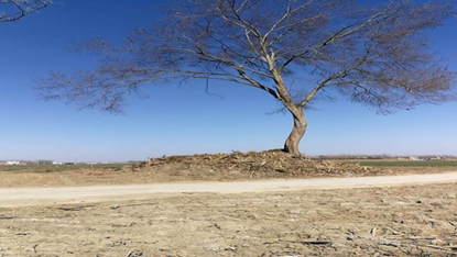 图5-1&nbsp;家乡老路