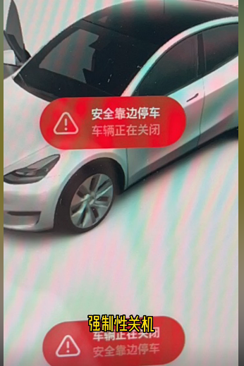 拍卖网平台|24小时还没出广东,男子开特斯拉返乡堵到电量耗尽,加价2000元叫拖车(图2) 图片来源:网友视频截图