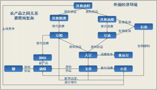 豆粕产业链行情分析与展望