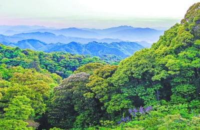 福建首开重点生态区位商品林赎买 实现＂绿＂＂