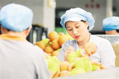 前8月外贸运行最新数据显示 中国外贸回稳好于预期