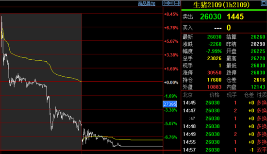 饲料价格涨疯了 今年养猪还能赚吗？