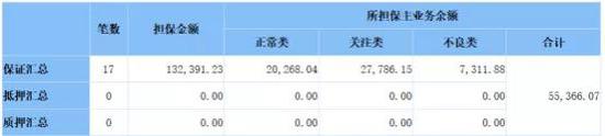 （爆料人提供：青岛林业投资对外担保情况 单位：万元）