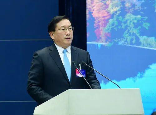 王忠林任湖北代省长王晓东辞任