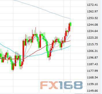 （现货黄金日线图 来源：FX168财经网）