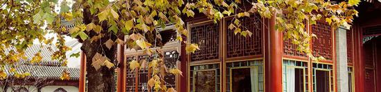 伍戈：疫情与国际变局叠加下中国经济的远虑与近忧