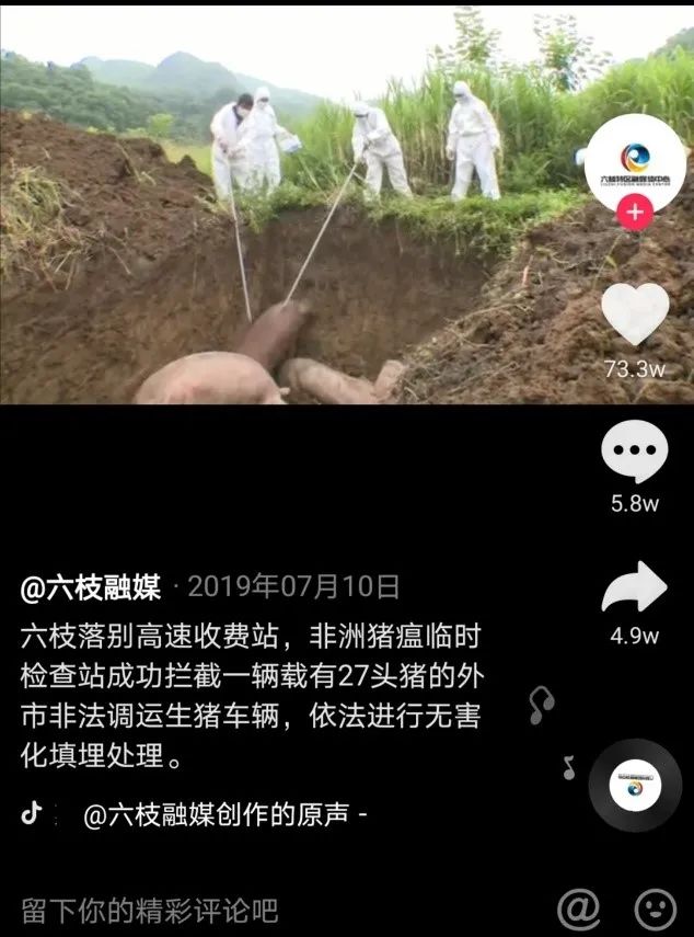 图源：抖音截图