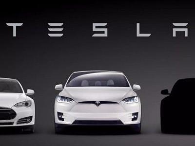 特斯拉车主在车展维权 海霞：应启动权威扎实调查回应消费者