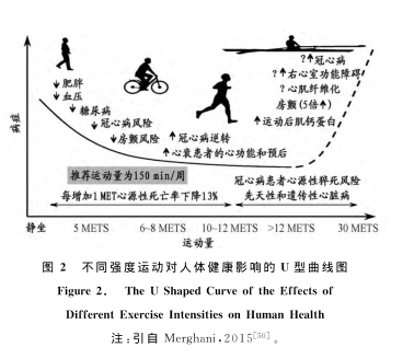 图片来自《体育科学》