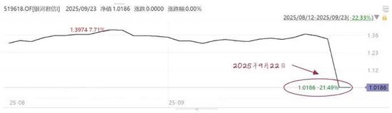 这只基金一天跌幅超过20%