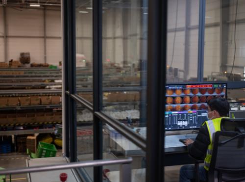 西北最大数字农业仓配体系启用 西安联手阿里破解这一难题