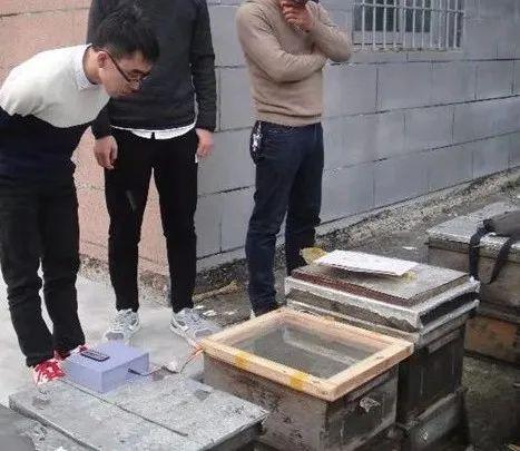 蜂毒能抑制新冠病毒？专家辟谣！